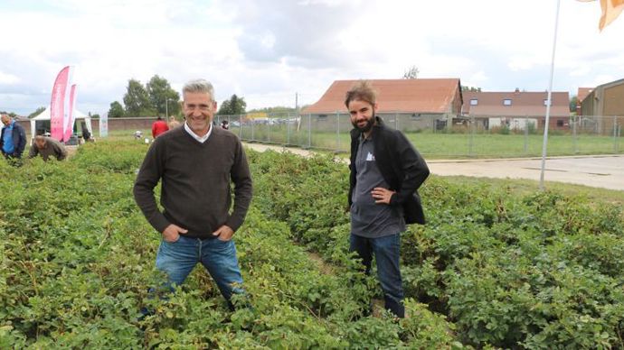 Les instituts techniques belges sont plus avancés dans la connaissance de l’alternaria que leurs collègues français. Ici Olivier Mahieu et Géry Carbonnelle, du Carah. © B. CAILLIEZ